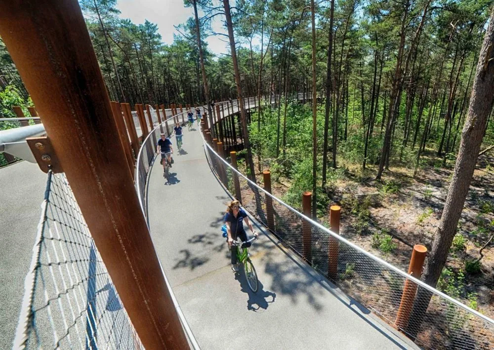 Elevated cycling path on helical piles through forest, Limburg, Belgium