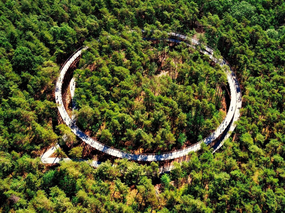 Helical pile foundation with timber frame construction